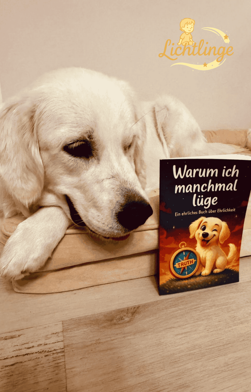 Warum ich manchmal lüge (Taschenbuch)